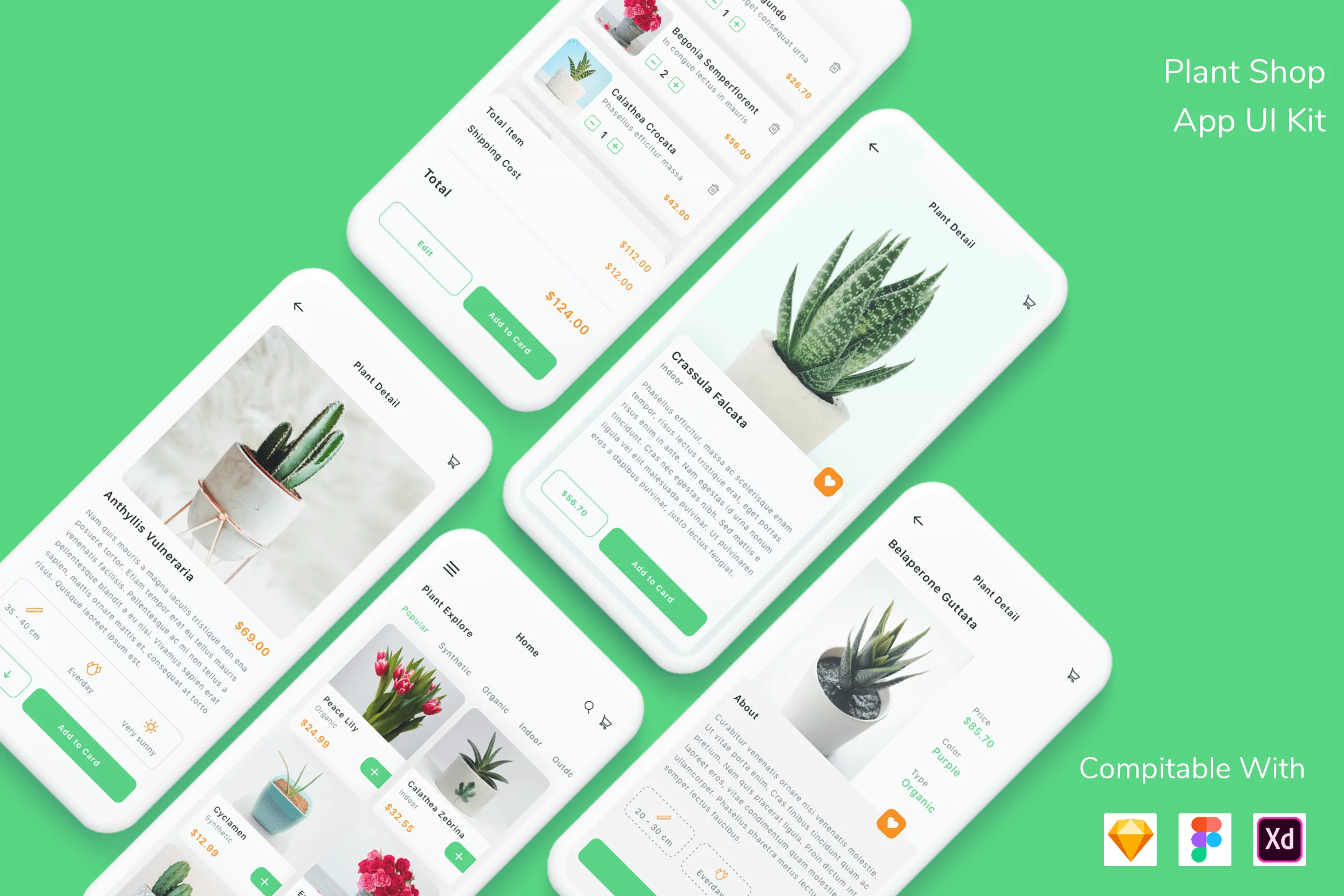Plant Shop App UI Kit for Figma, Sketch & XD | UIworkshop