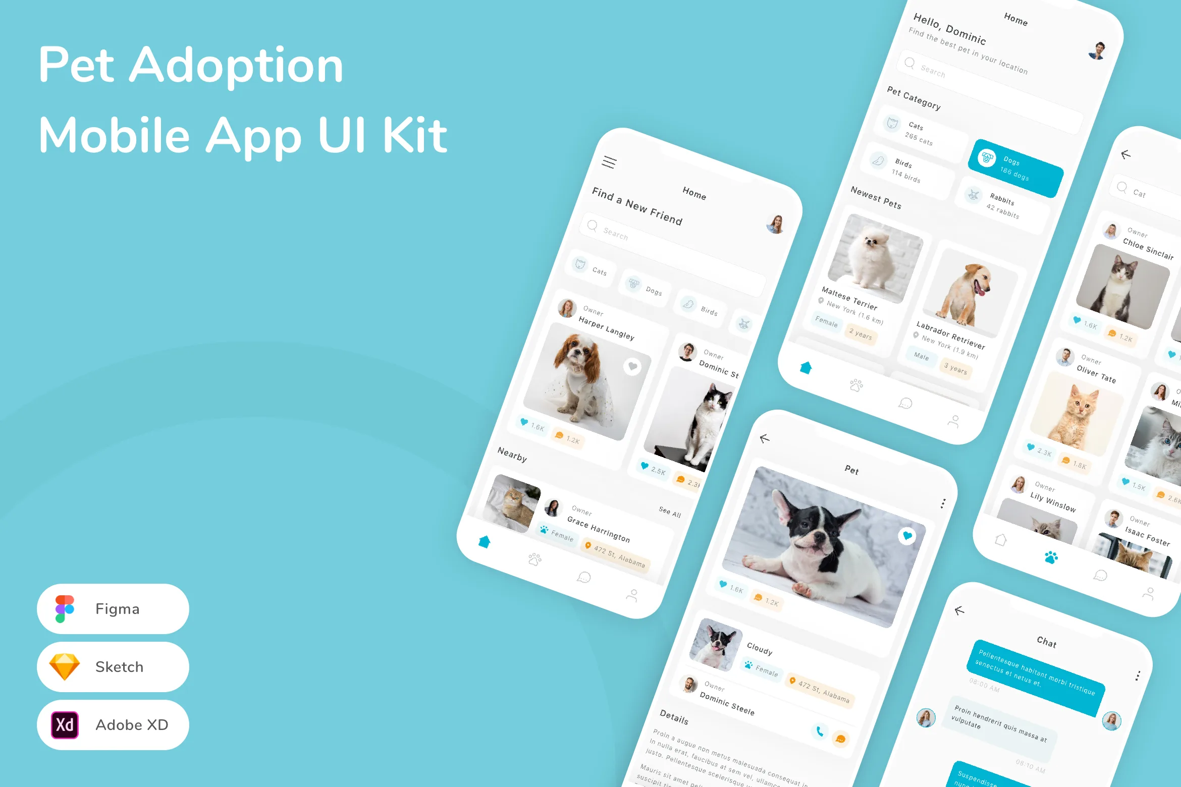 Pet Adoption Mobile App UI Kit for Figma, Sketch & XD | UIworkshop
