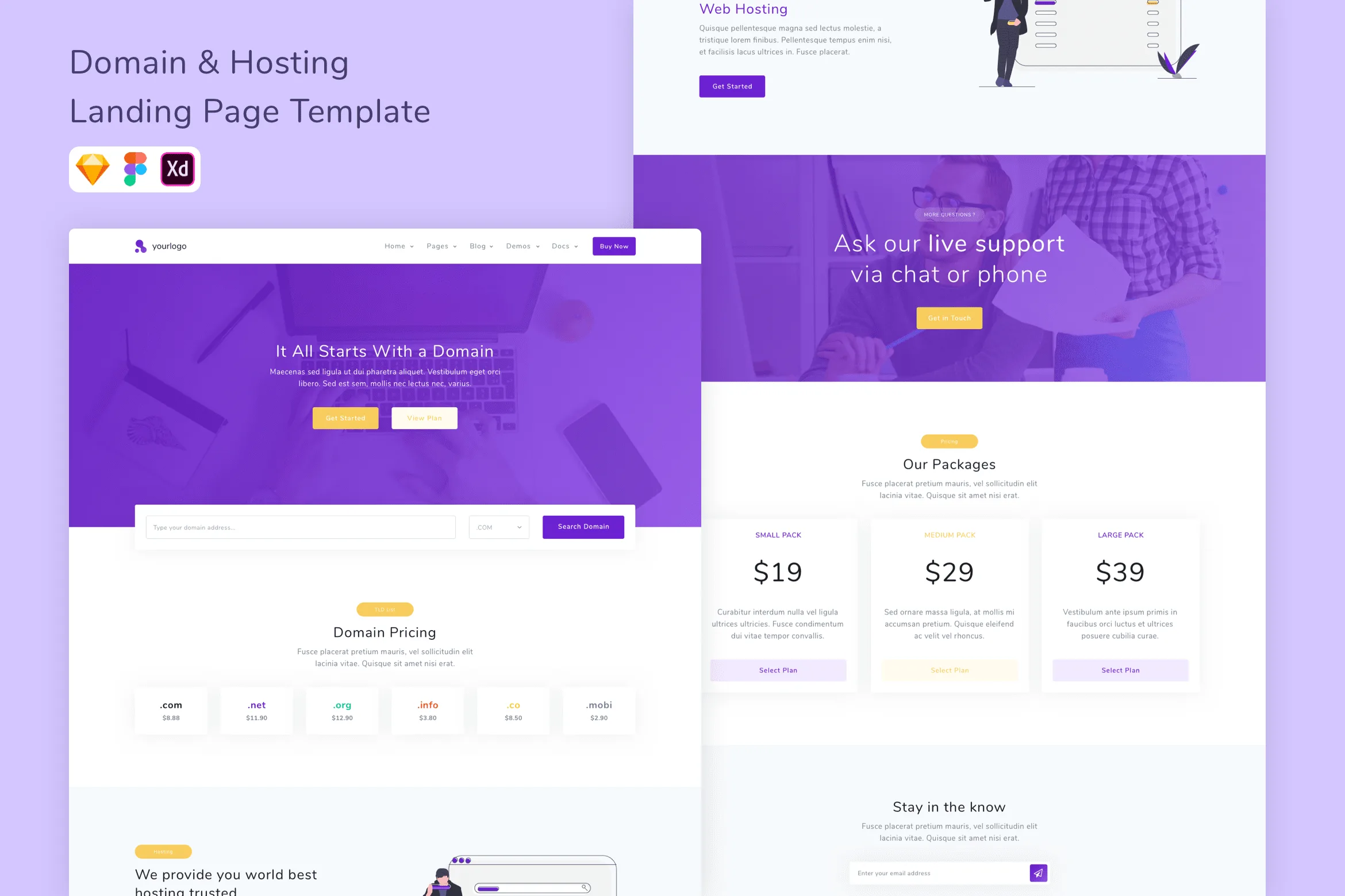 Domain Hosting Landing Page Template