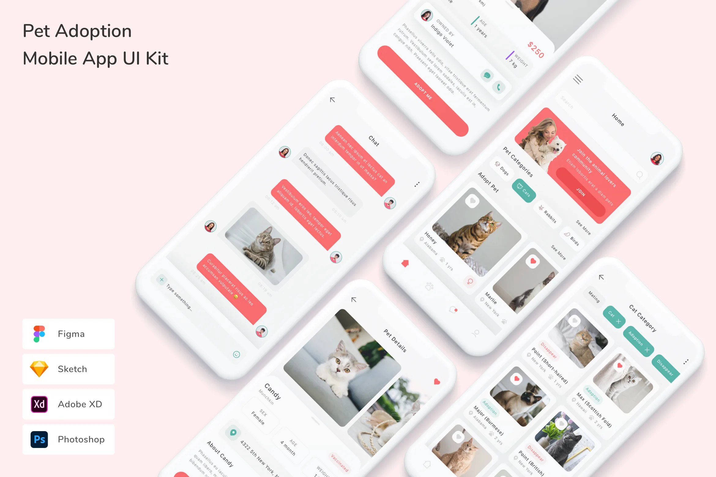 Pet Adoption Mobile App UI Kit