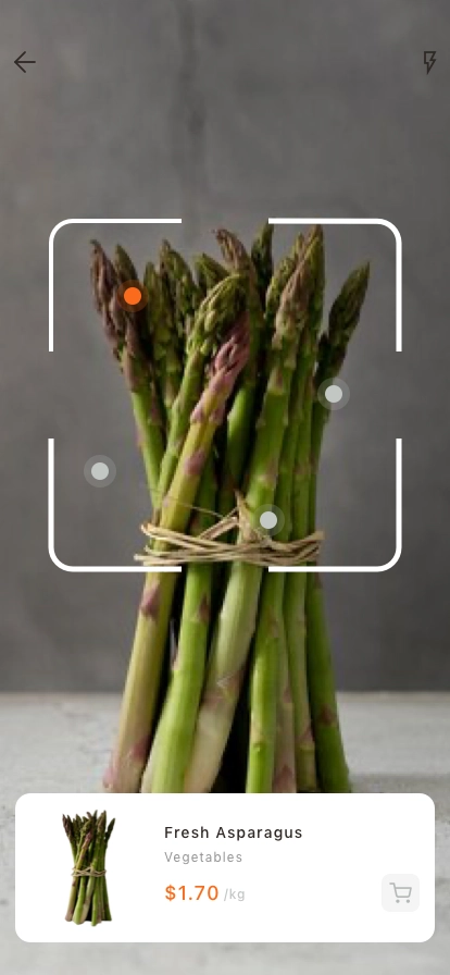 Grocery Delivery Mobile App UI Kit - Screenshot 5