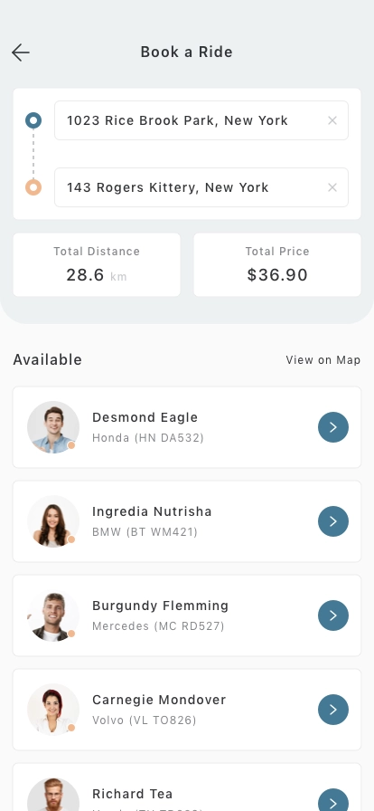 Journey Share Mobile App UI Kit - Screenshot 3