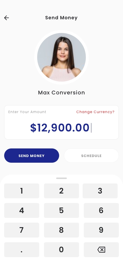 Money Transfer App UI Kit - Screenshot 2