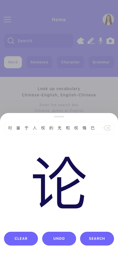 Chinese Dictionary Mobile App UI Kit - Screenshot 4
