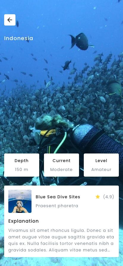 Scuba Diving Finder Mobile App UI Kit - Screenshot 4
