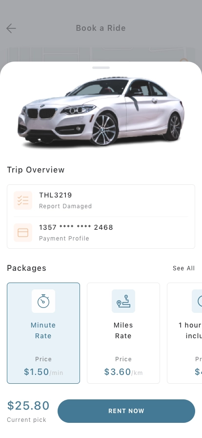 Journey Share Mobile App UI Kit - Screenshot 4