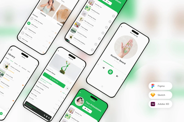 Music Player & Streaming Mobile App UI Kit