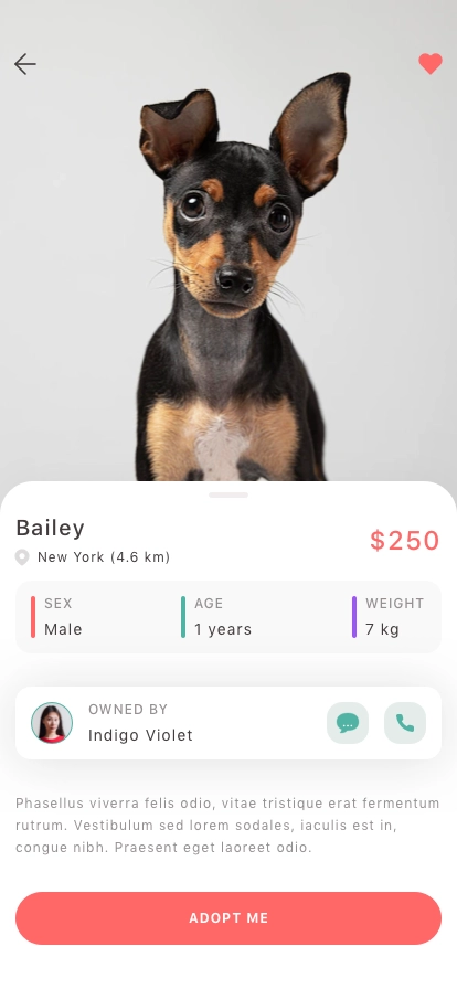 Pet Adoption Mobile App UI Kit - Screenshot 4