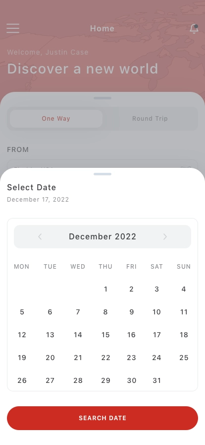 Flight Booking Mobile App UI Kit - Screenshot 3