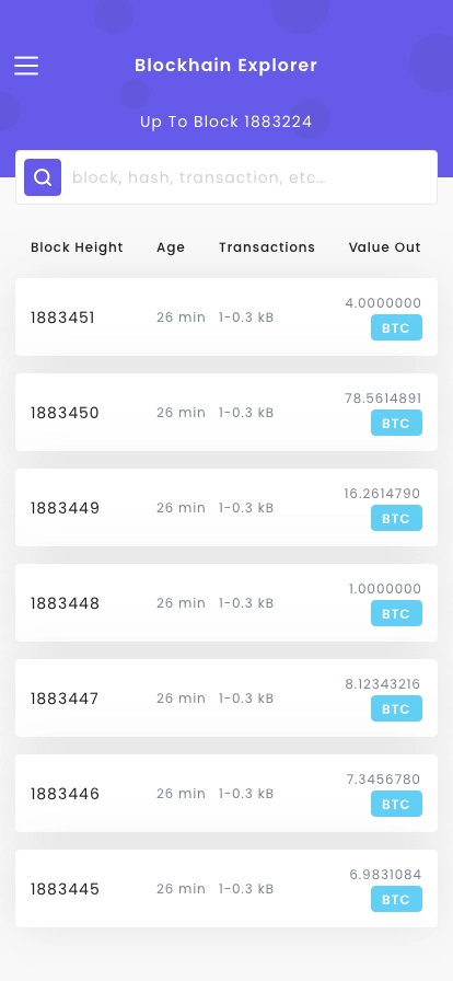 Blockchain Explorer Mobile App UI Kit - Screenshot 3