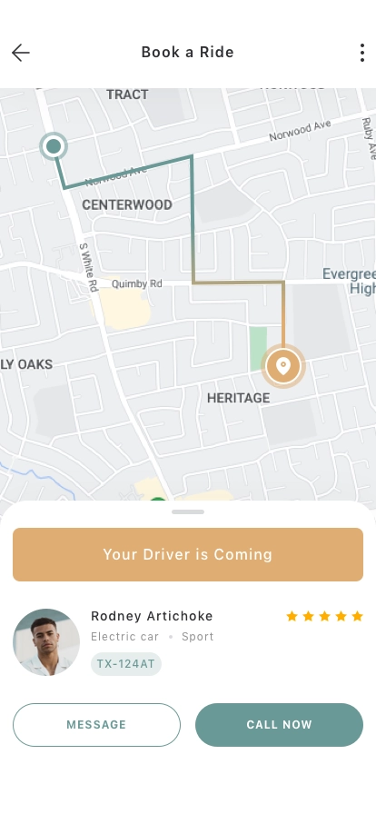 Ride Share Mobile App UI Kit - Screenshot 5