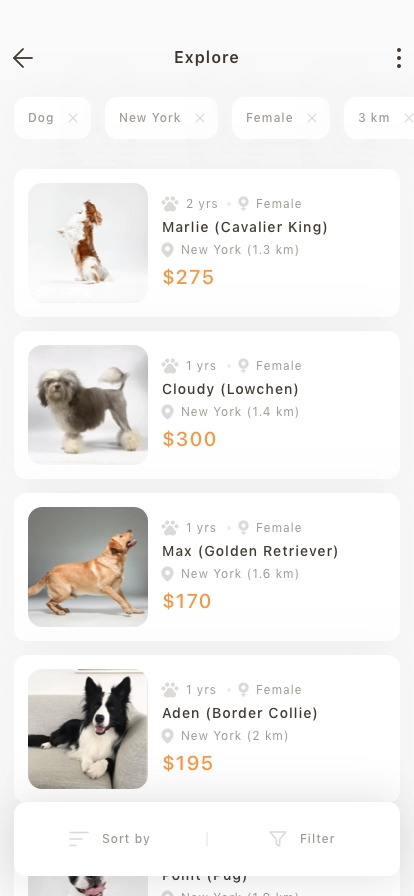 Pet Adoption & Finder Mobile App UI Kit - Screenshot 3