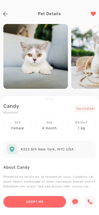 Pet Adoption Mobile App UI Kit - Screenshot 3