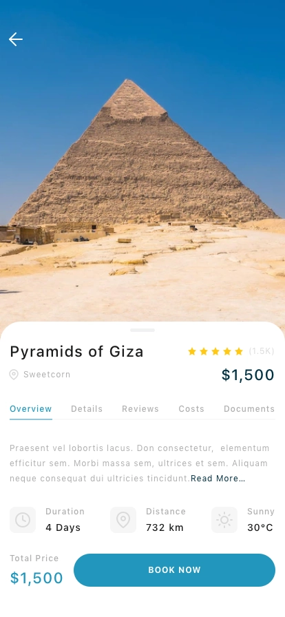 Travel & Trip Mobile App UI Kit - Screenshot 3