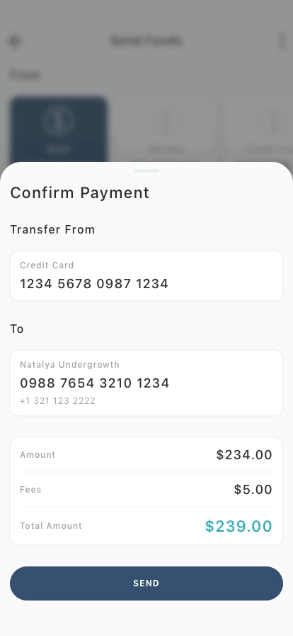 Money Transfer Mobile App UI Kit - Screenshot 4