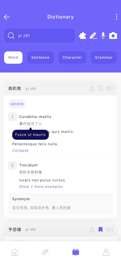 Chinese Dictionary Mobile App UI Kit - Screenshot 3