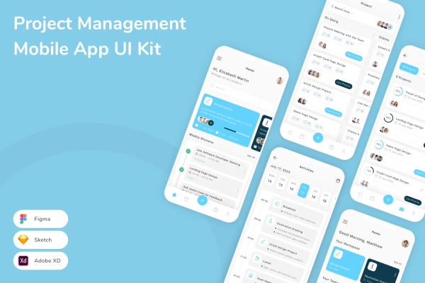 Project Management Mobile App UI Kit