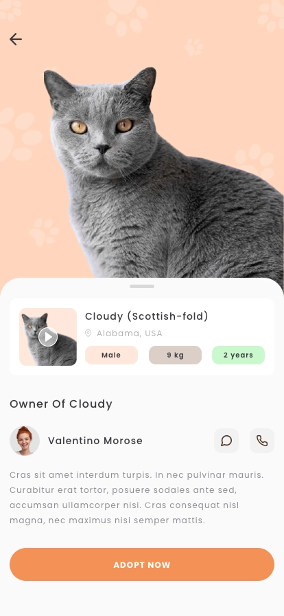 Pet Adoption Mobile App UI Kit - Screenshot 2