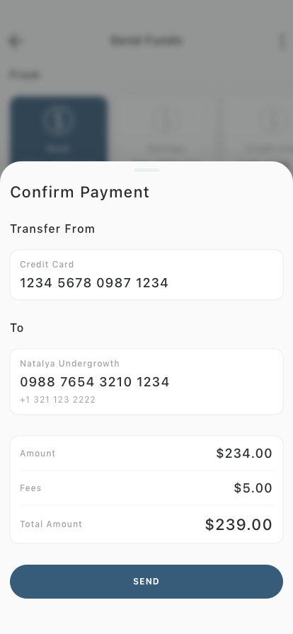 Money Transfer Mobile App UI Kit - Screenshot 4