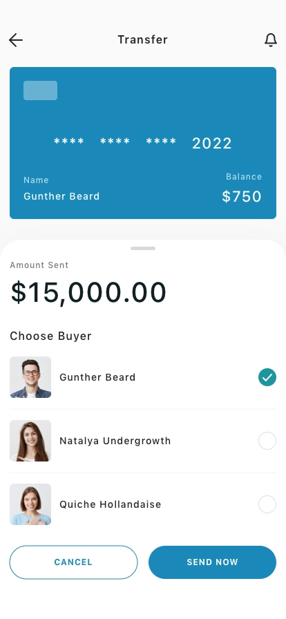 Wallet Mobile App UI Kit - Screenshot 2