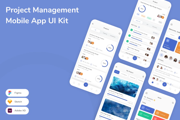 Project Management Mobile App UI Kit