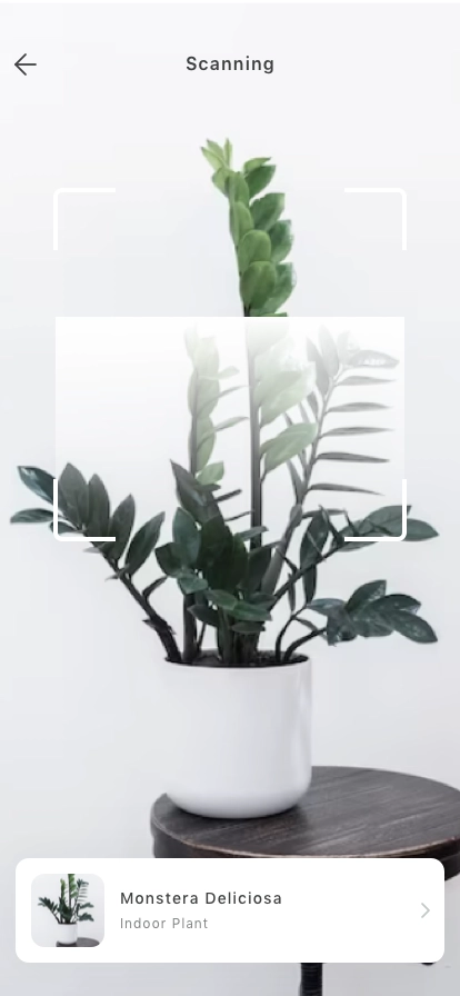 Plant Shop Mobile App UI Kit - Screenshot 5