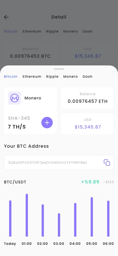 Crypto Mining & Pool Mobile App UI Kit - Screenshot 5